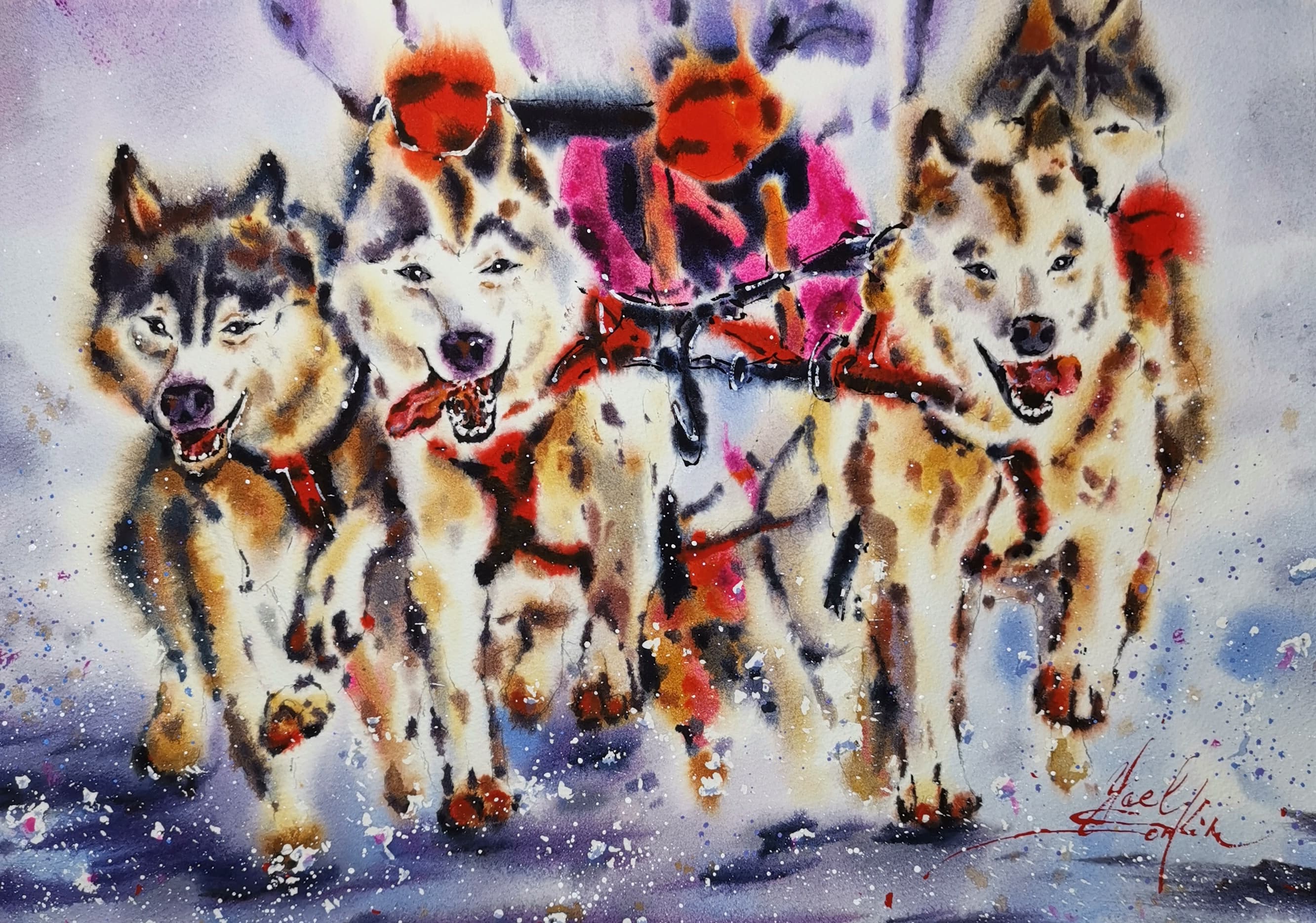 original watercolor painting of husky dogs sled team running in alaska snow, winter dog art, wall decor, signed by artist, 11x18.5 inches