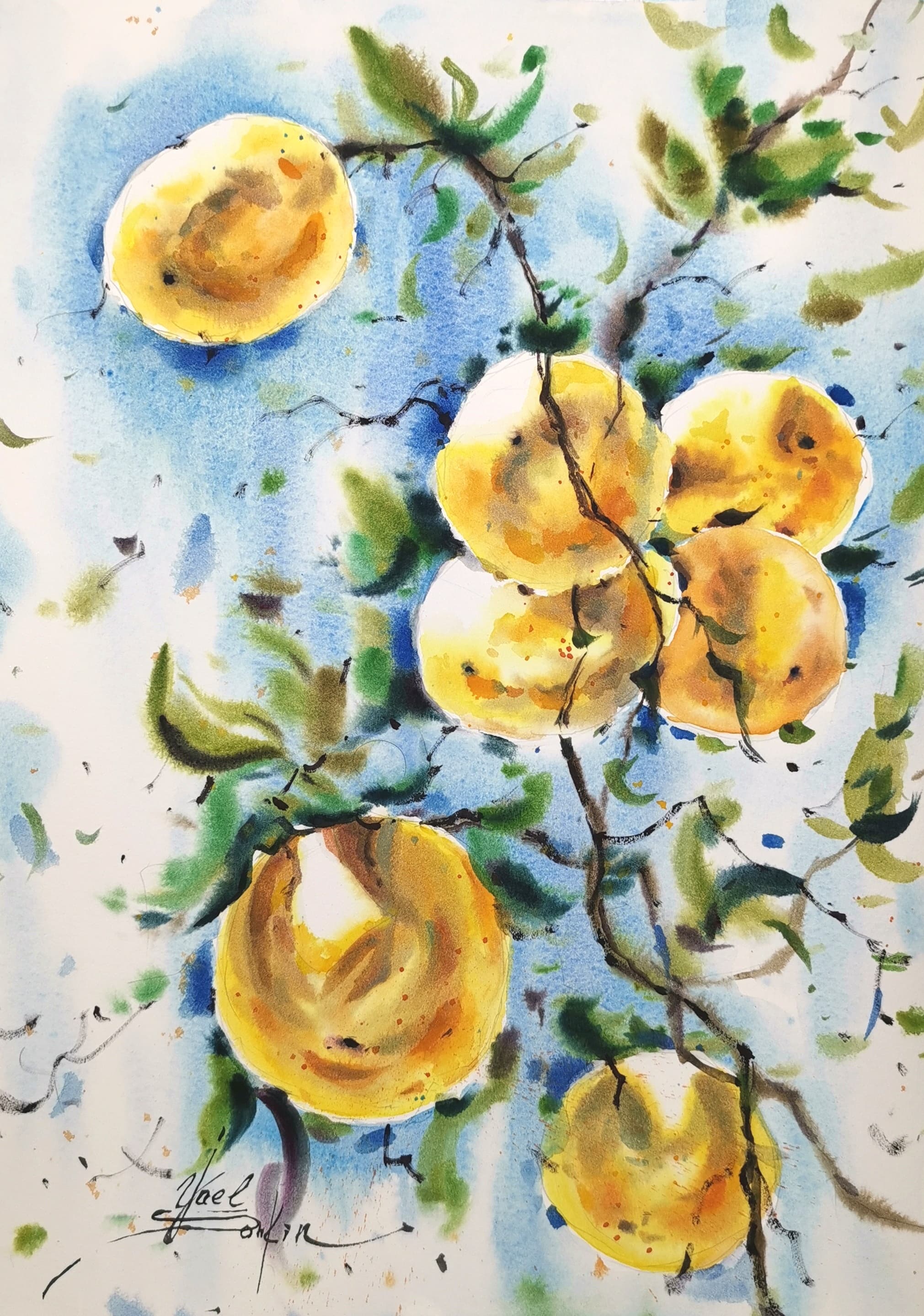 original watercolor painting of a branch with oranges – bright citrus fruit artwork in impressionistic style, hand-painted still life wall art, size 15x11 inches