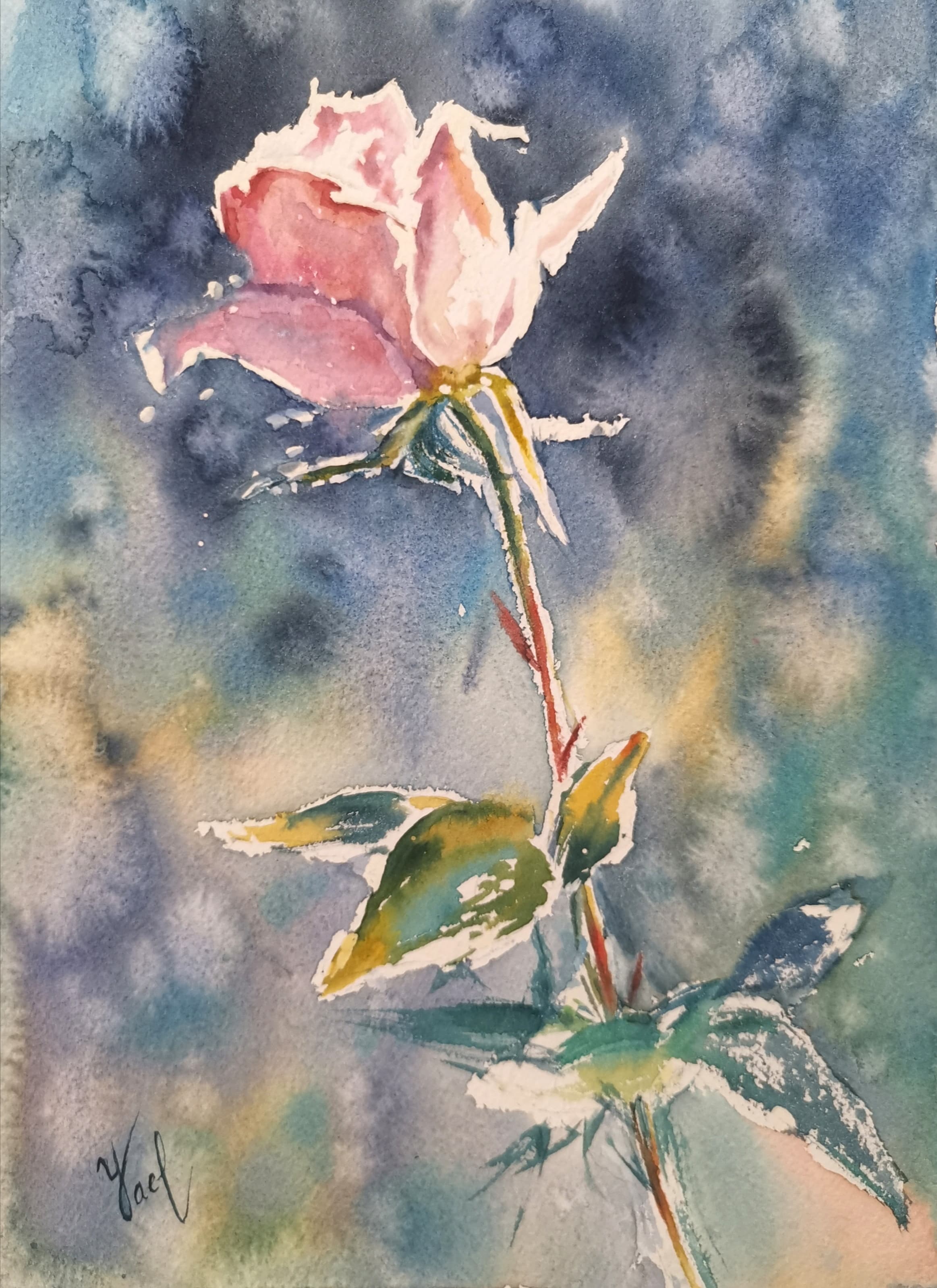 yael nataly blog post image 1