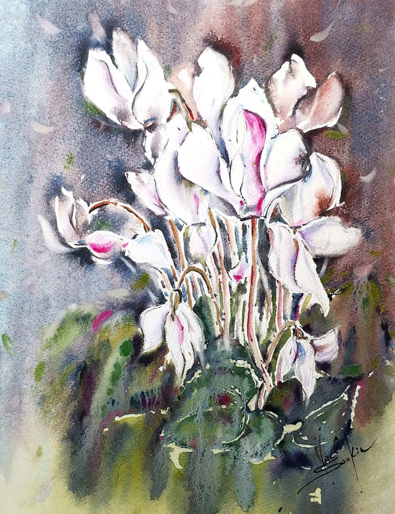 Original Watercolor White Cyclamen Flower Painting - Floral Wall Art