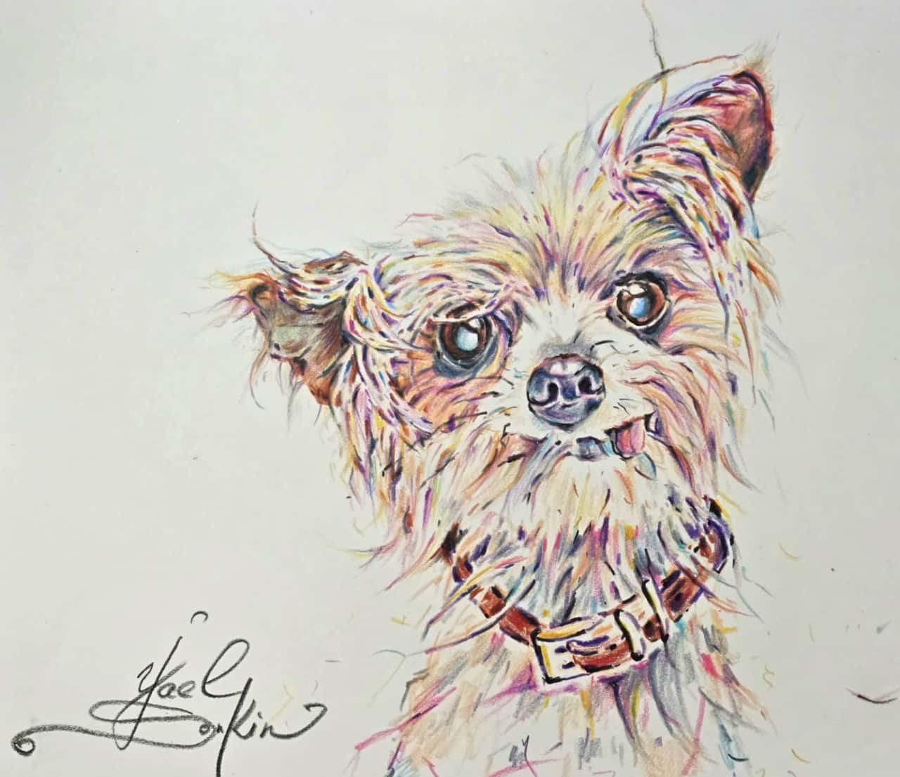 Original Watercolor Pencil Yorkshire Terrier Drawing - Dog Portrait Wall Art