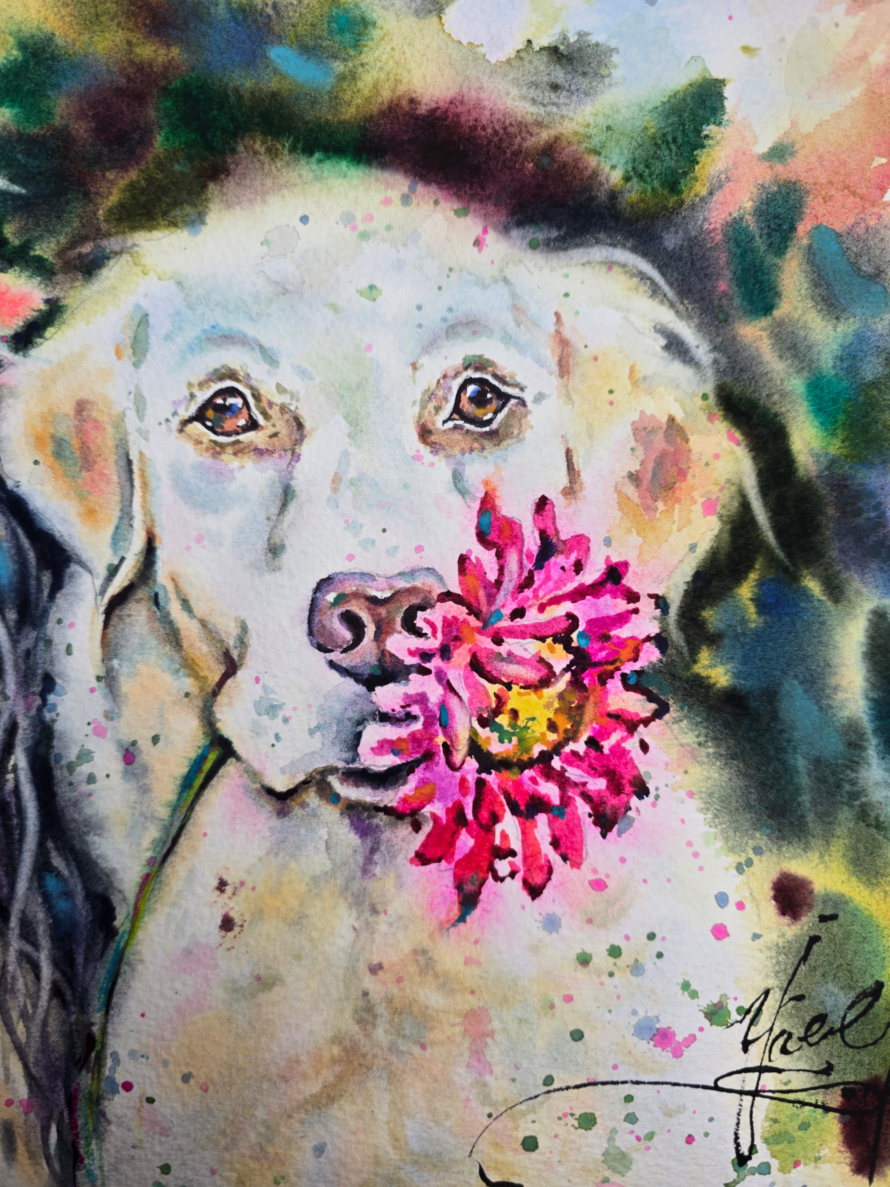 yael nataly blog post image 4