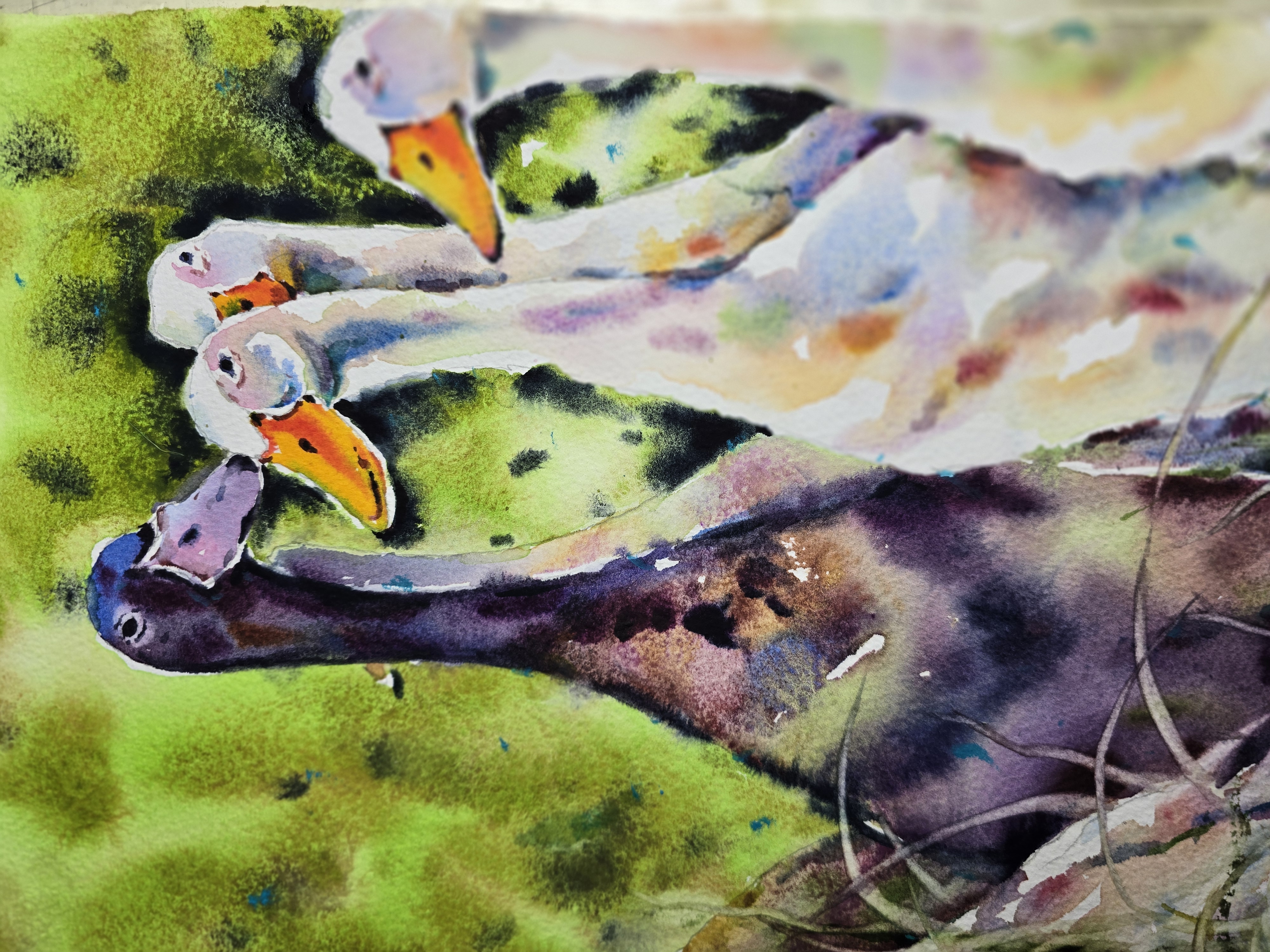 yael nataly blog post image 3