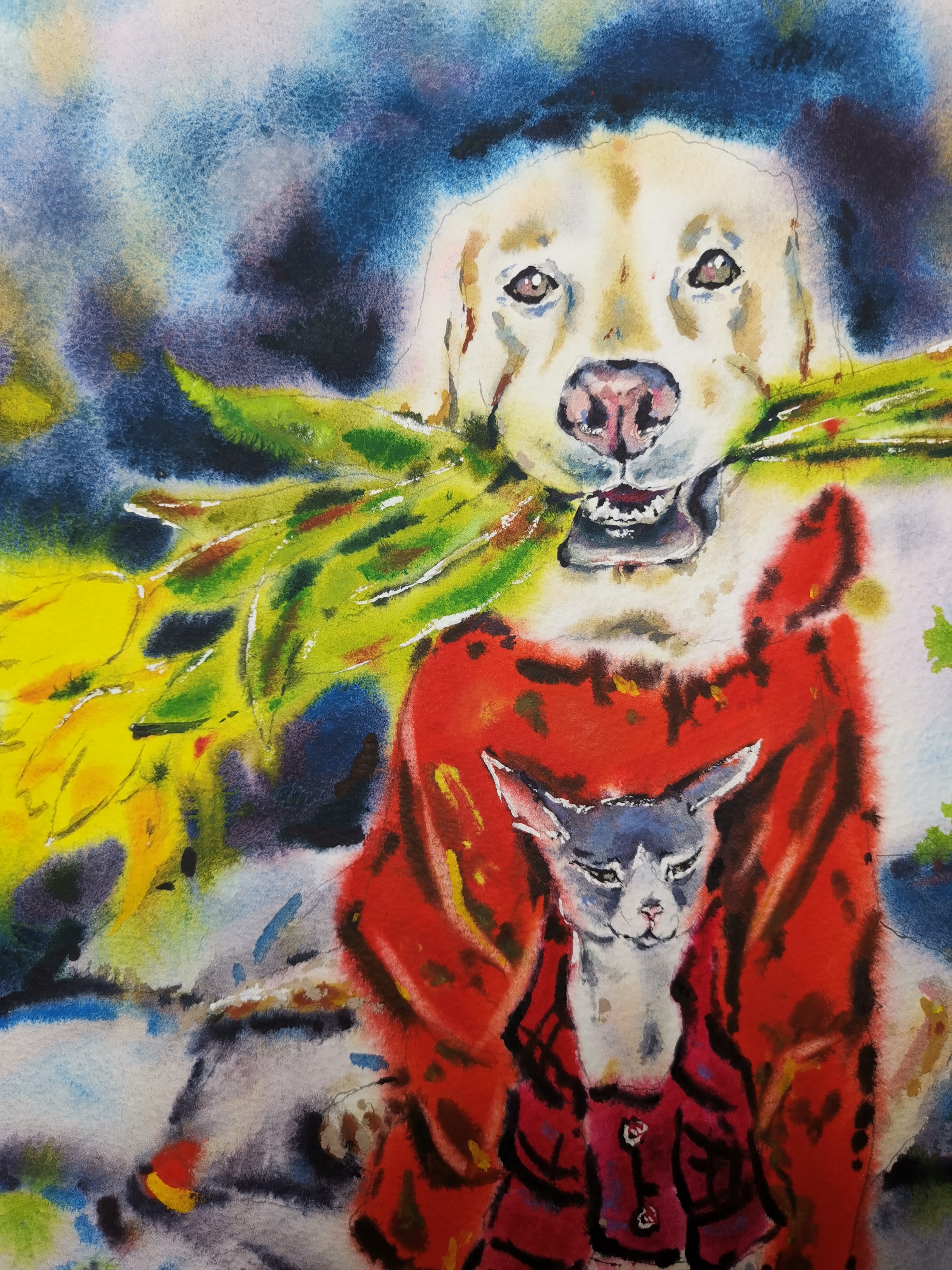 yael nataly blog post image 2