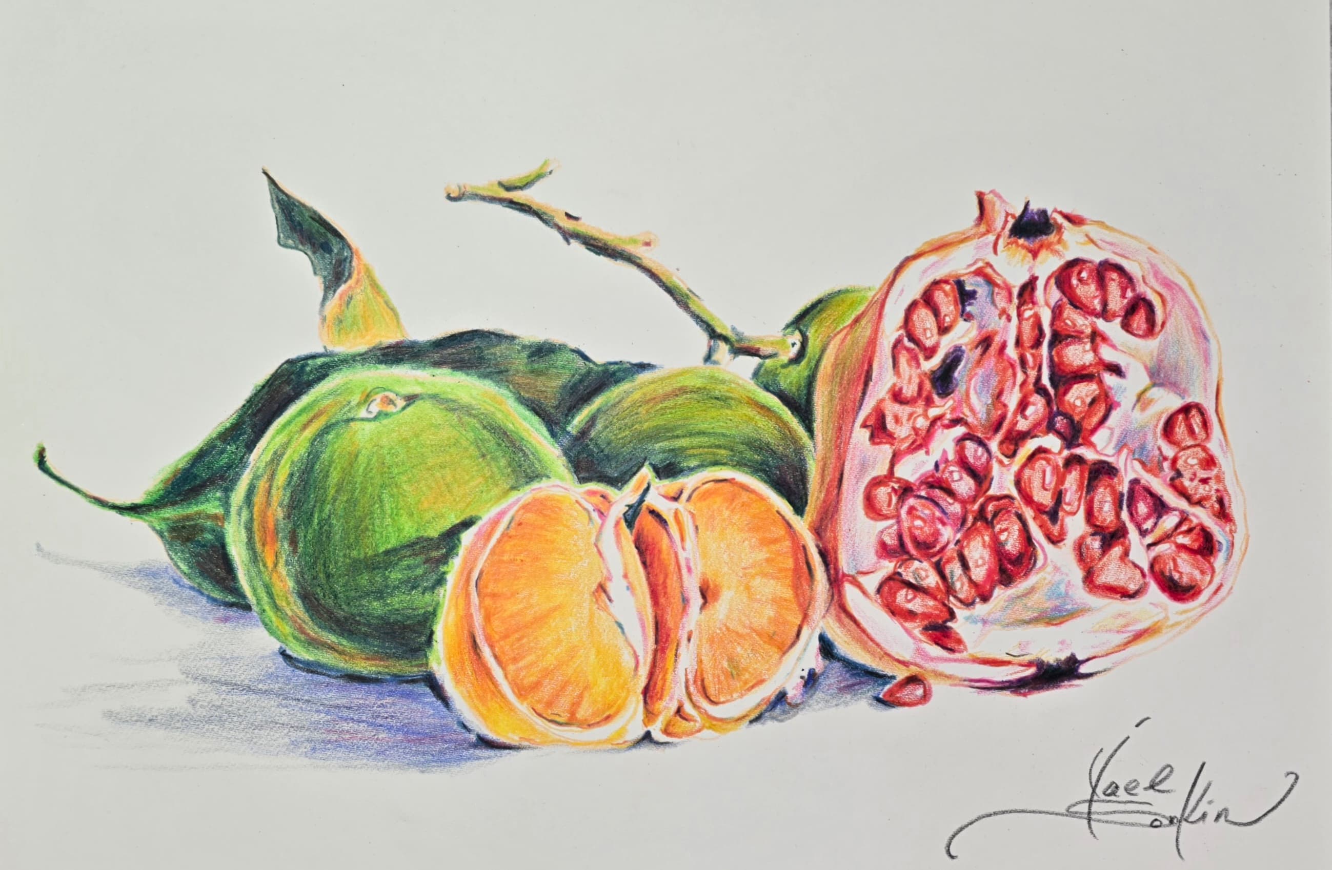 Watercolor pencil still life of fresh mandarins and a halved pomegranate, realistic botanical fruit drawing on paper by Yael Sonkin