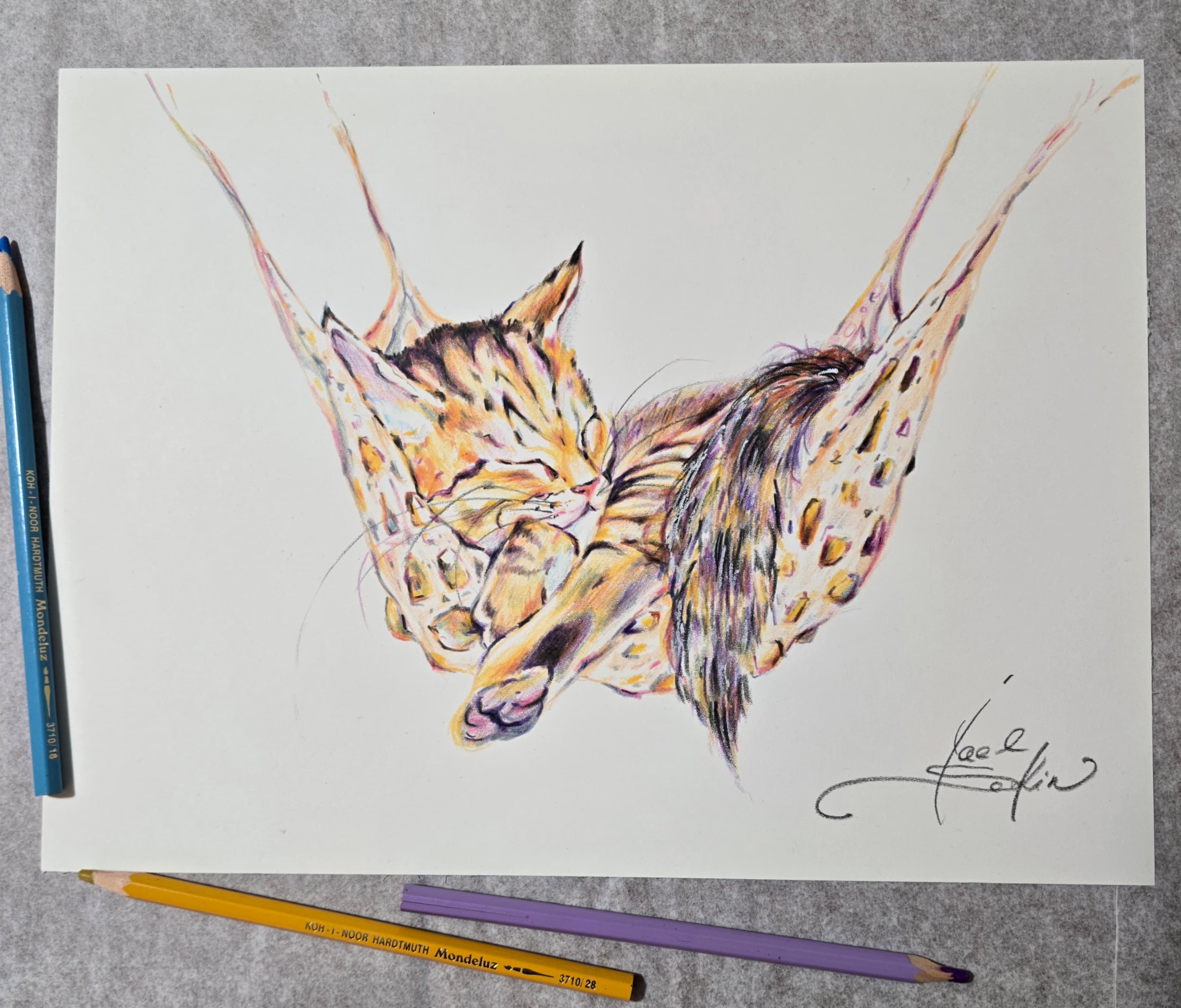 yael nataly blog post image 2