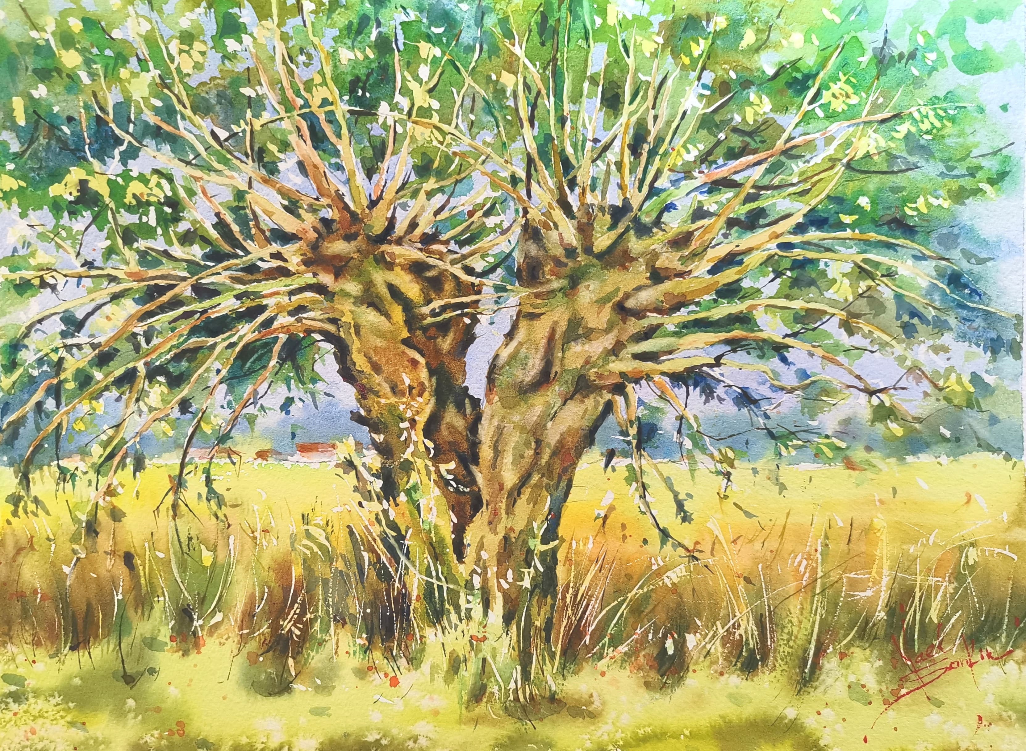 Original watercolor painting of two intertwined trees in the Provence countryside, Southern France. Golden summer fields, sunlight, and greenery in impressionistic style by artist Yael Natali. French landscape watercolor art inspired by nature and Mediterranean light